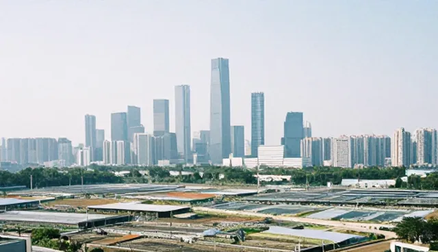 如何通过企业信息查询提升贸易决策效率?
